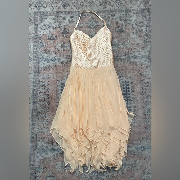 Issue NWT Silk Pink Fairy Whimsical Ballet Y2K Chic Ruffle Flowy Cocktail Dress - Picture 1 of 7